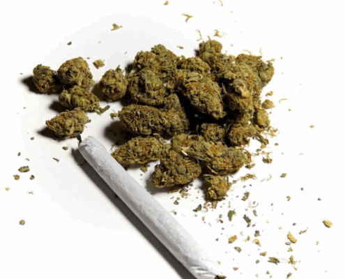 An image of synthetic mojo on a white background.